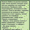 ���� �������, �����, 52 ���� - ��������� 8 ��� 2017 � ������ ������ ��������
