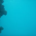 ���� ��������, �����, 57 ��� - ��������� 19 ������� 2017 � ������ ������� 2017�