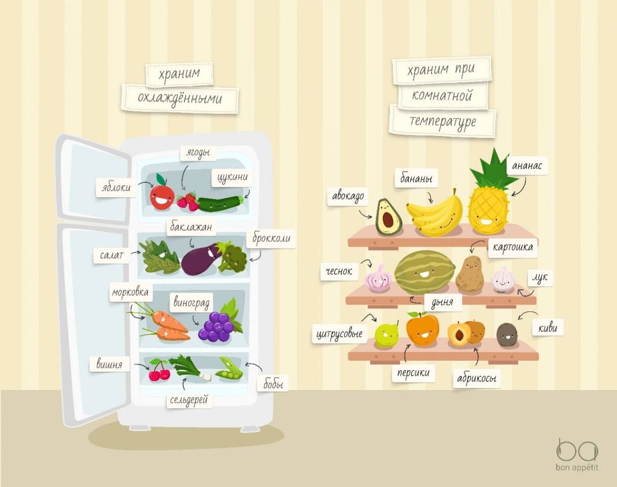 Соседство на английском. Правильное хранение овощей и фруктов. Правильное хранение в холодильнике. Инфографика хранение овощей и фруктов. Холодильник для хранения овощей и фруктов.