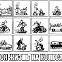 ���� ������, �����������, 44 ���� - ��������� 11 ������ 2017 � ������ ������ ��������