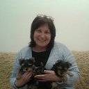 ���� �����, ������ - ��������� 14 ��� 2017 � ������ ���� ����������