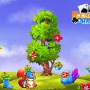 ���� �����, ������ - ��������� 14 ������� 2017 � ������ �������� �������-�������