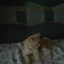 ���� ������, �����������, 49 ��� - ��������� 31 ������� 2017 � ������ ���� ����������