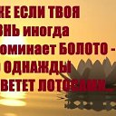 ���� �����.., �����������-��-�����, 47 ��� - ��������� 11 ���� 2017 � ������ ������ ������