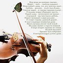  Yvgen, , 50  -  25  2017