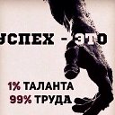  , -, 62  -  31  2017    !!!!