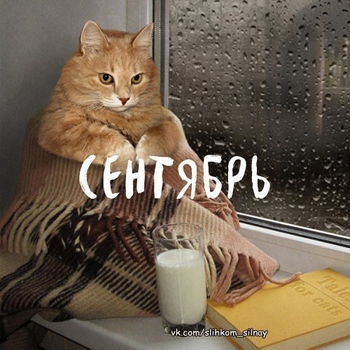 :