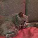 ���� �����, ���������, 45 ��� - ��������� 24 ������� 2017 � ������ ���� ����������