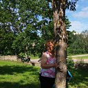 ���� �������, �����, 72 ���� - ��������� 6 ��� 2017 � ������ ���� ����������