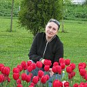 ���� ����, ������, 59 ��� - ��������� 31 ��� 2017 � ������ ���� ����������