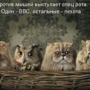 ���� �����, ������, 50 ��� - ��������� 28 ������ 2017 � ������ ������ ��������