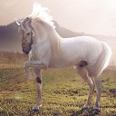 ���� ������, �����������, 39 ��� - ��������� 4 ������� 2017 � ������ ������ ��������