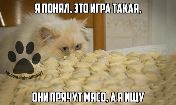    - 17  2017  07:13