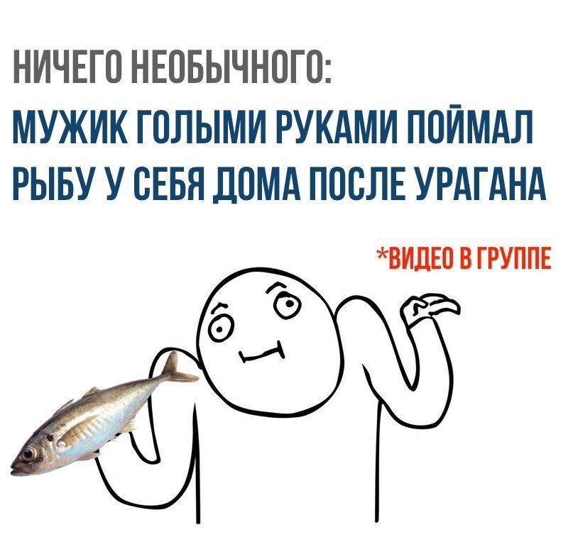   - 29  2017  18:17