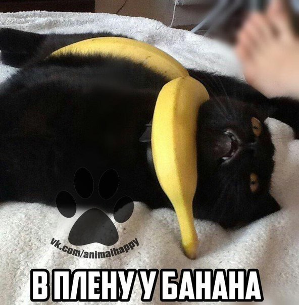    - 17  2017  20:10