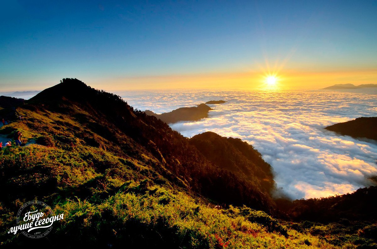 15 причин, которые мешают самореализации: 1) Пустые жалобы. Проблема многих людей в том, что им ...