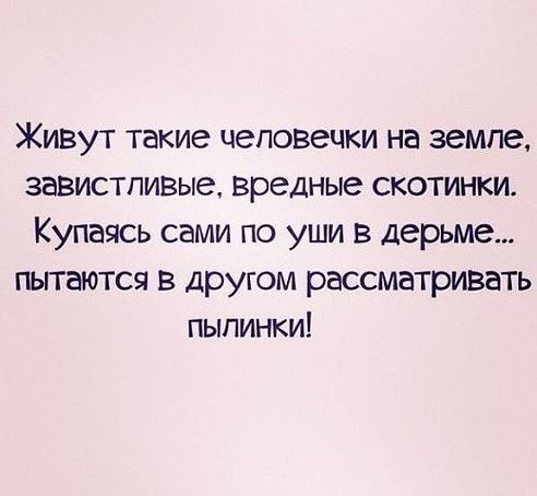    - 15  2017  08:51