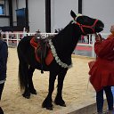���� ��������, �����-���������, 51 ��� - ��������� 10 �������� 2017 � ������ ������-������������� ������ �������� ���������� 27.08.2017�