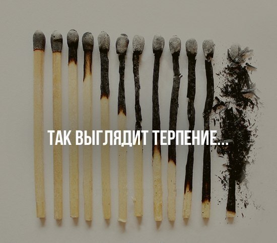   - 12  2017  15:44