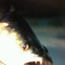 ���� ���������, ������, 55 ��� - ��������� 28 ���� 2017 � ������ ������ ��������