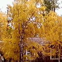 ���� �����, ����, 63 ���� - ��������� 19 �������� 2017 � ������ ������ ��������