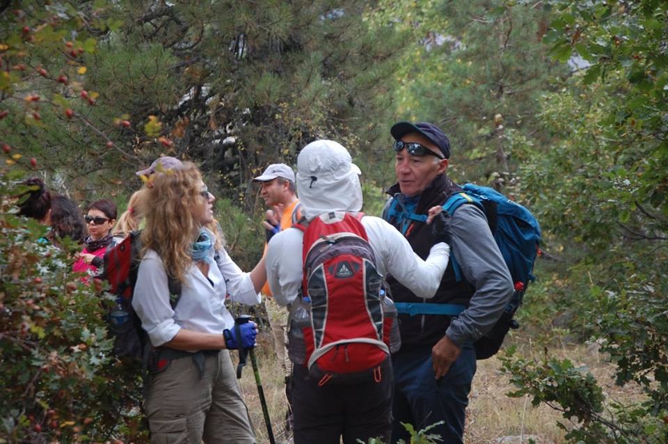 Pevril - 17 ������� 2017 � 09:18 - 8