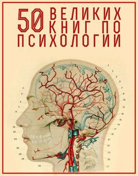 ТОП-50 великих книг по психологии. 1. Альфред Адлер.