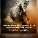 ���� �., ��������� - ��������� 7 ������� 2017