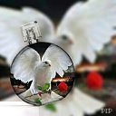 ���� ������, �����-���������, 57 ��� - ��������� 20 ��� 2017