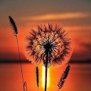 ���� ������, ������ - ��������� 31 ������� 2017 � ������ �����