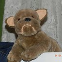 ���� �����, �������� - ��������� 5 ������ 2017