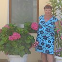  , , 64  -  14  2017       2017