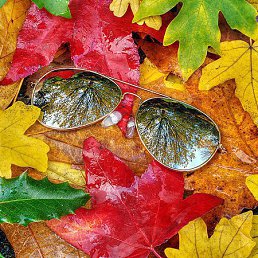 ������, ���������