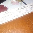  Xsander Kot, , 43  -  19  2017    