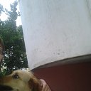 ���� ������, ������ - ��������� 20 �������� 2017 � ������ ���� ����������