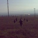 ���� ��������, ���������� �����, 36 ��� - ��������� 29 �������� 2017 � ������ ���� ����������