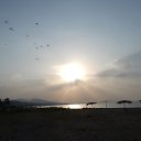 ���� �������, �����-��������� - ��������� 17 ������� 2017 � ������ ��������