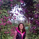 ���� �����, ������, 48 ��� - ��������� 31 ������� 2017 � ������ ����� - ����� 2017�