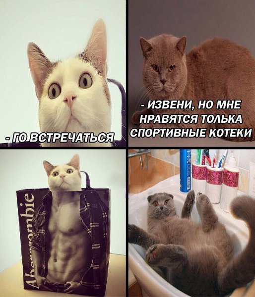    :D - 20  2017  10:00