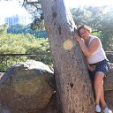 ���� ����, ���� - ��������� 7 ���� 2017 � ������ ���������� ������