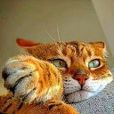 ���� �����, ��������� - ��������� 17 ���� 2017 � ������ ������ ��������