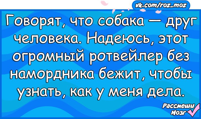  - 13  2017  05:07