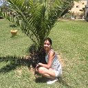 ���� �������, �����, 42 ���� - ��������� 29 �������� 2017 � ������ ������ ��������