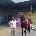 ���� Bouazza, ����, 35 ��� - ��������� 22 ��� 2017 � ������ ������ ��������