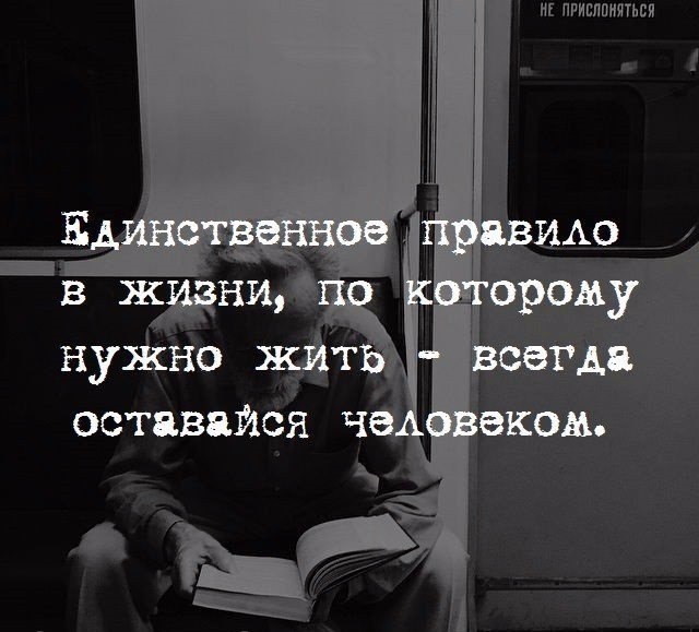     - 8  2017  03:28
