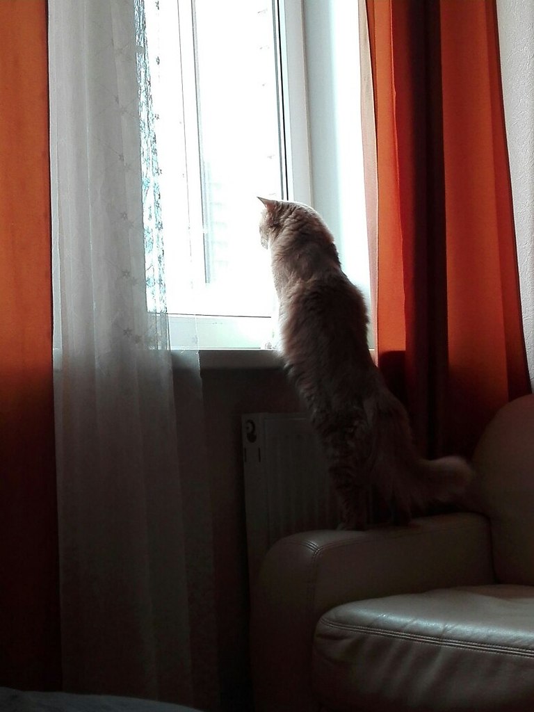 ...  ?)