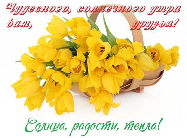 ДОБРОЕ УТРО! Друзья мои! Вам красоты! Душевной радости, покоя, Всем С ДОБРЫМ УТРОМ! Доброты! И ...
