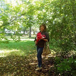 �����, ������, 51 ���