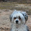 ���� �������, ������������ - ��������� 26 ���� 2017 � ������ �����