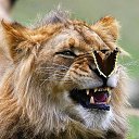 ���� �����, ������������, 59 ��� - ��������� 22 �������� 2017 � ������ ���� ����������